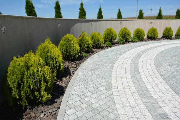 Best Brick Driveway Pavers  in Crump, TN